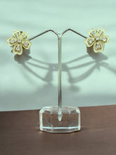 Fashion earrings